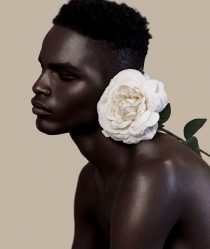 a black man infront of a nude background poses with a flower
