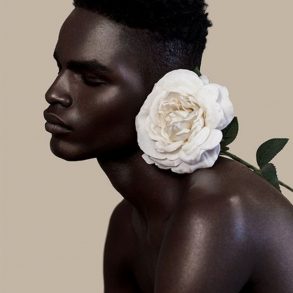 a black man infront of a nude background poses with a flower