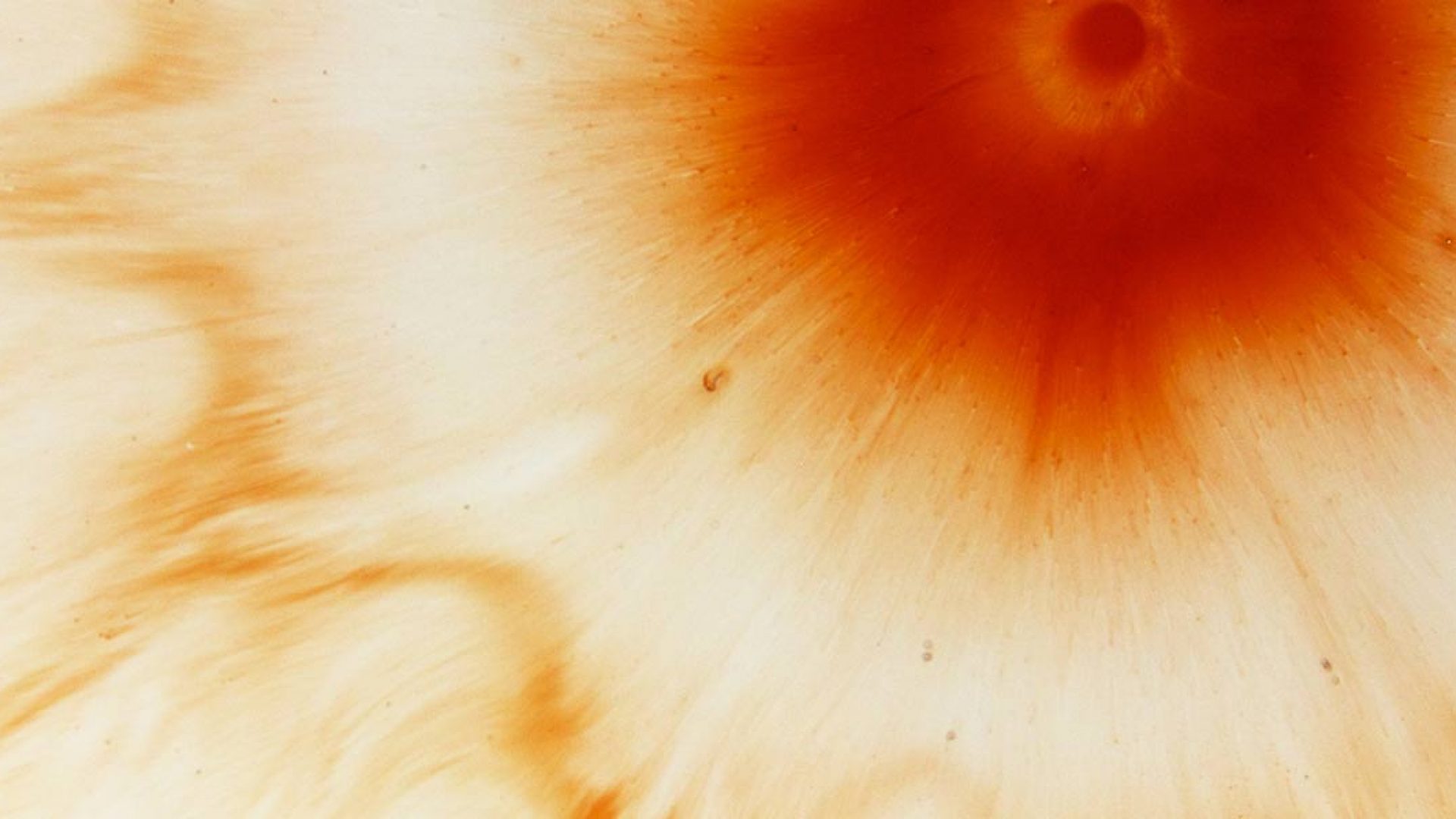 orange ink spreads across a white background
