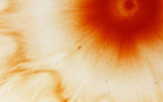 orange ink spreads across a white background