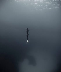 a free diver in the middle of the ocean