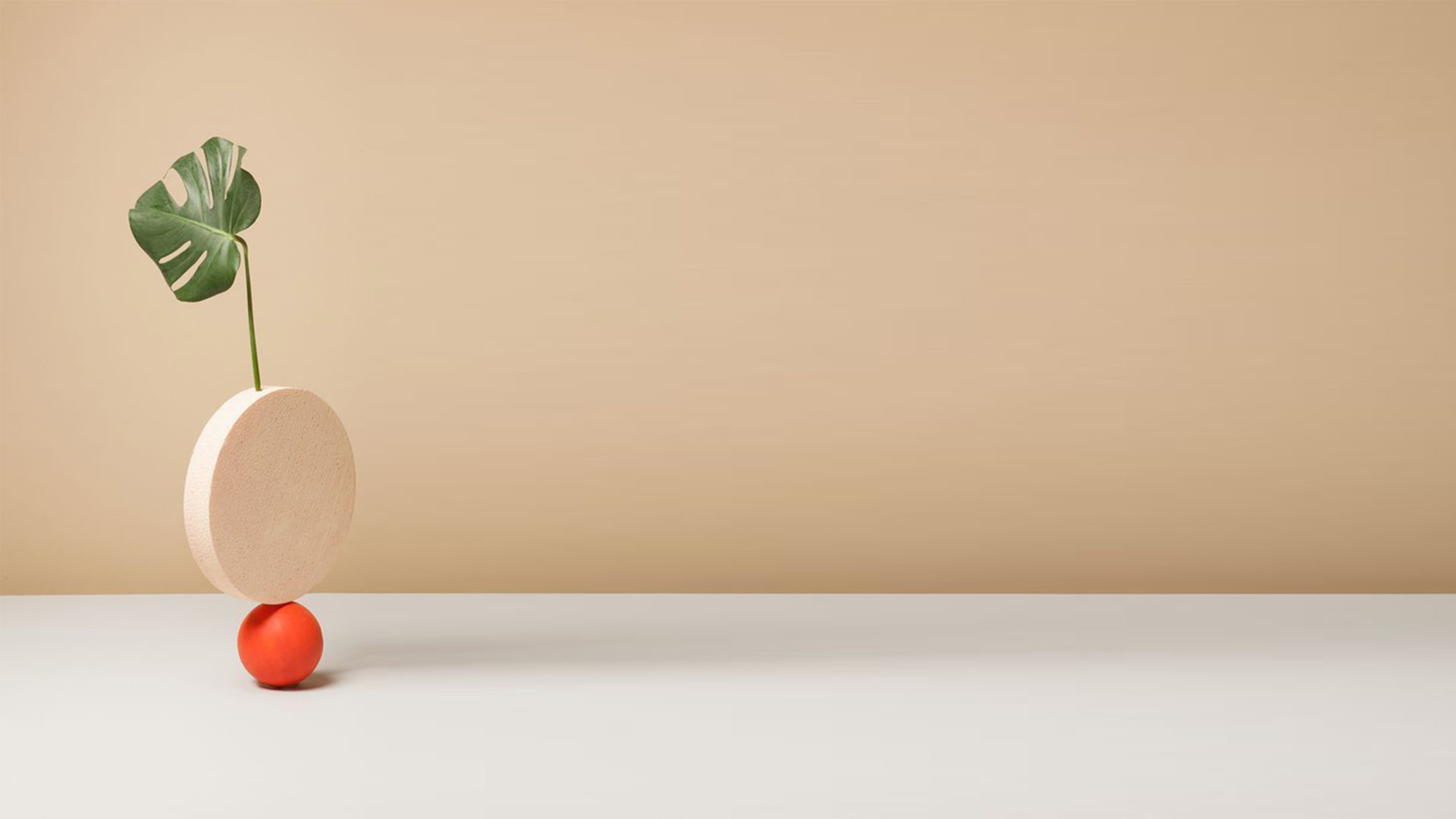 a circular nude stone sits ontop of a small orange stone with a leaf