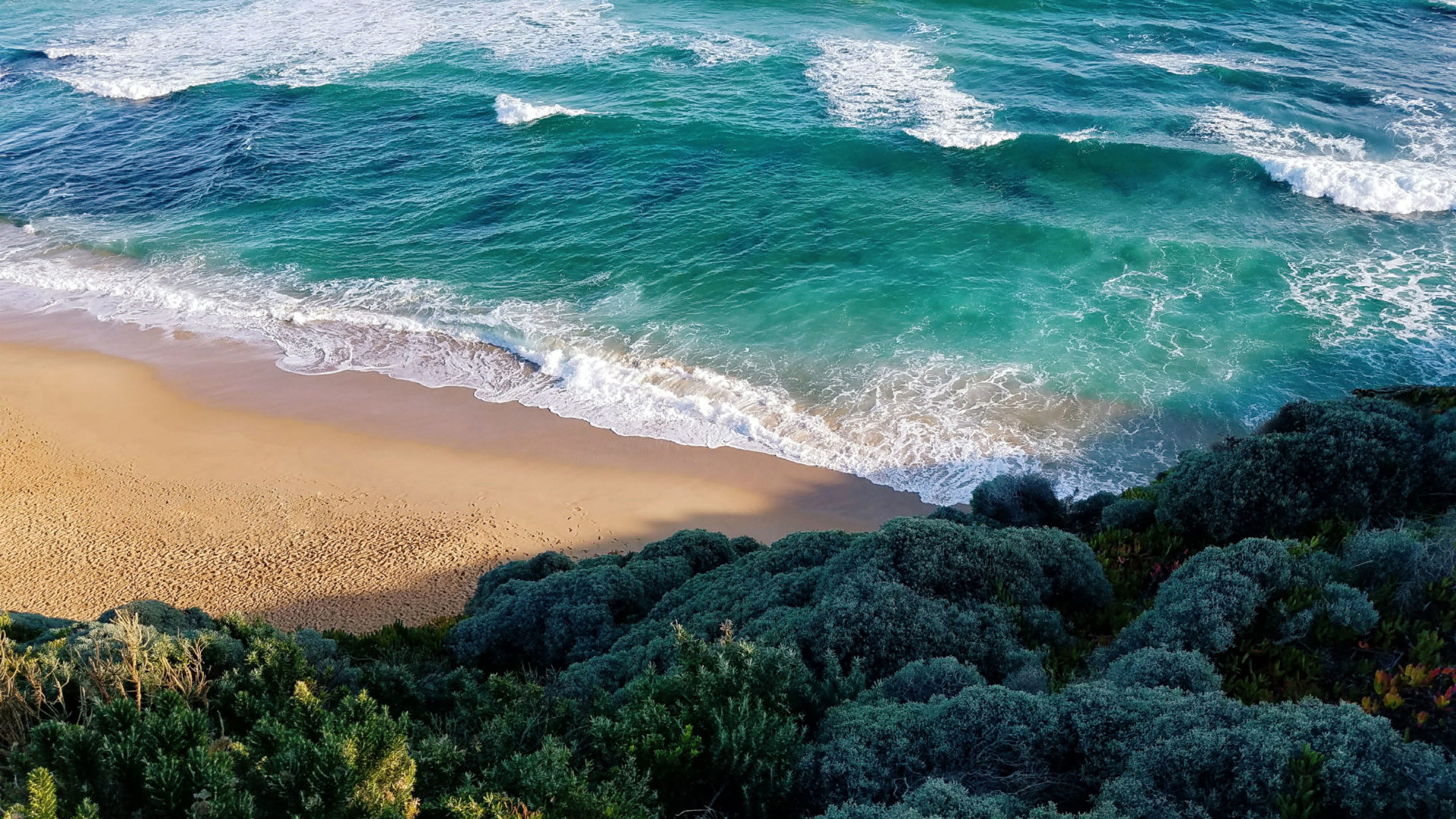 Seaside waves with forest