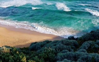 Seaside waves with forest