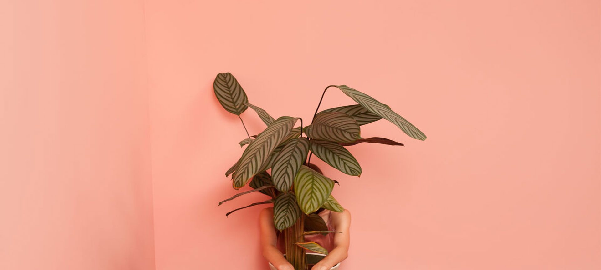 Female model sitting on the floor with a plant pot in pink room