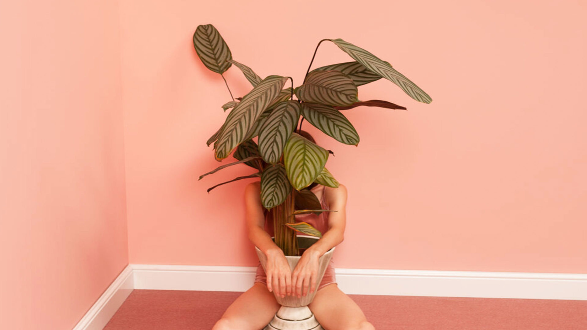 Model sits in a pink room holding a potted plant