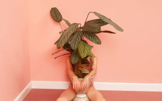 Model sits in a pink room holding a potted plant