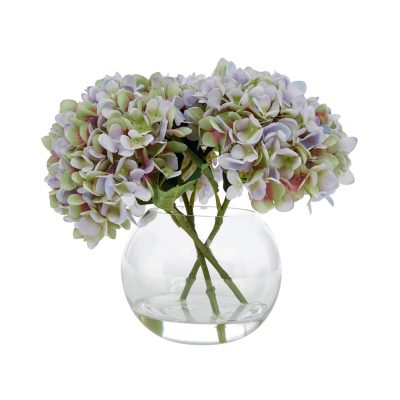 hydrangeas in a vase